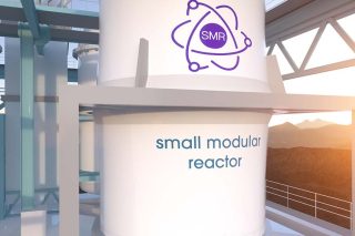 small modular reactor